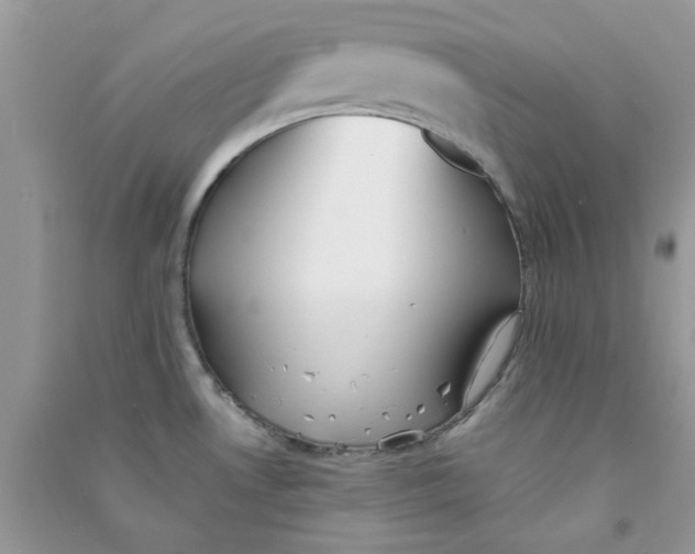 X0000090721530200708171916