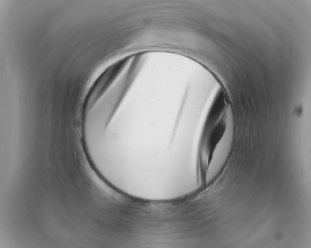 X0000090721531200708171916