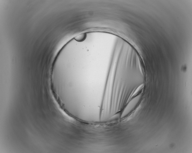 X0000090721533200708171916