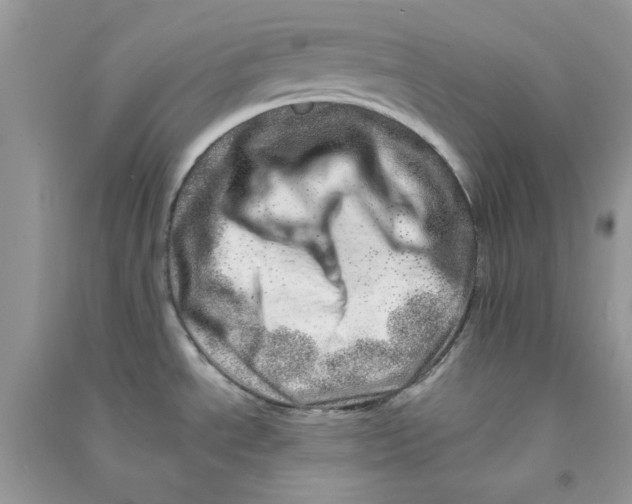 X0000090721534200708171916