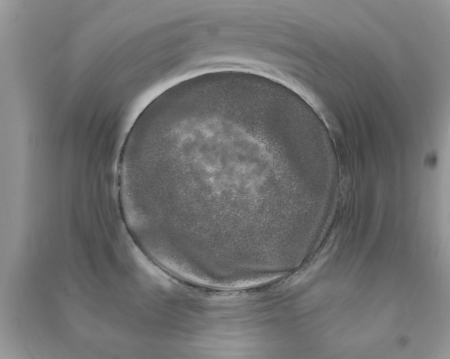 X0000090721535200708171916