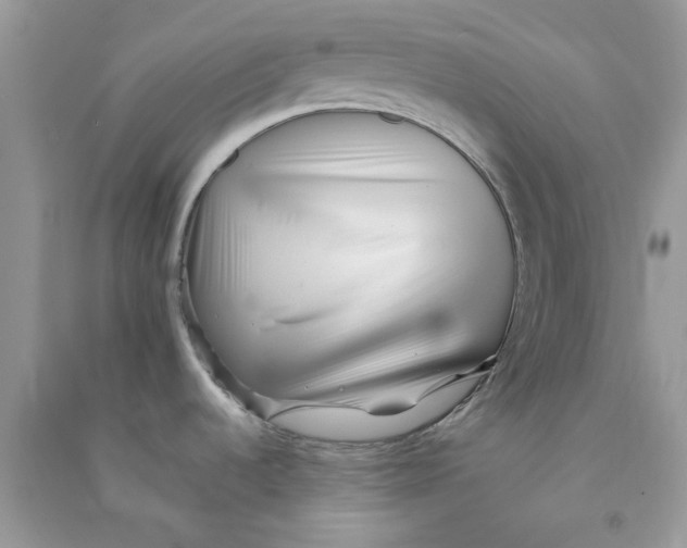 X0000090721536200708171916