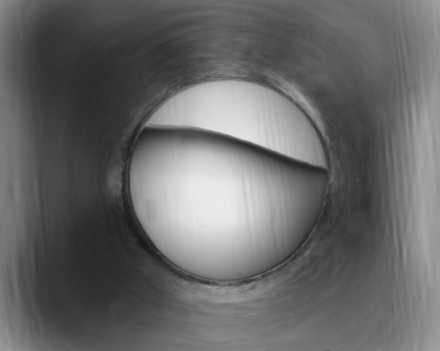 X0000090730010200707201003