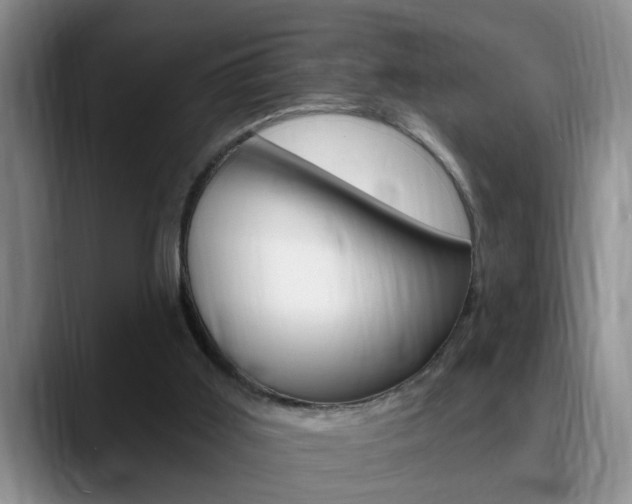 X0000090730011200707201003
