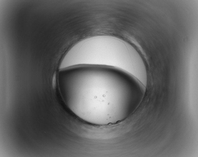 X0000090730019200707201003