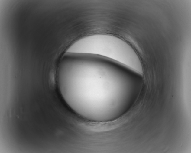 X0000090730023200707201003