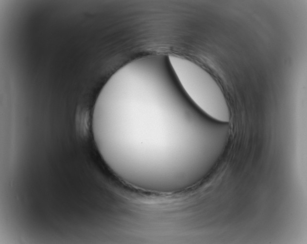 X0000090730024200707201003