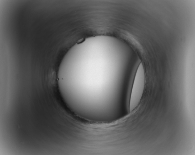 X0000090730025200707201003