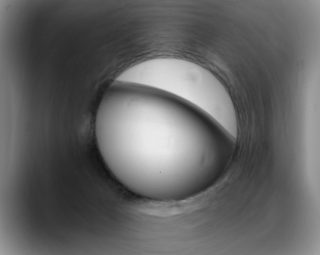 X0000090730029200707201003