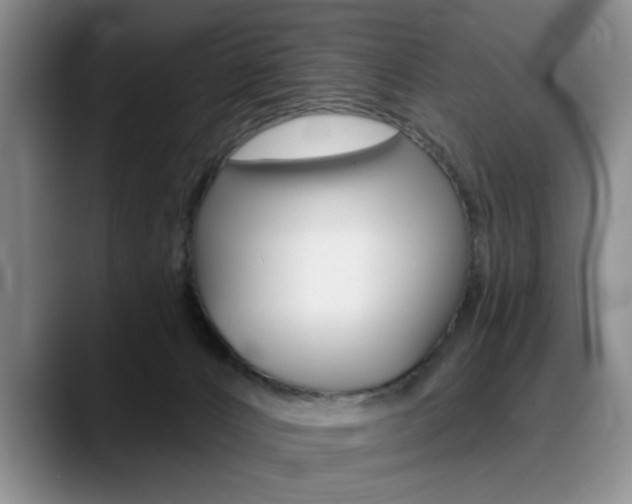 X0000090730032200707201003