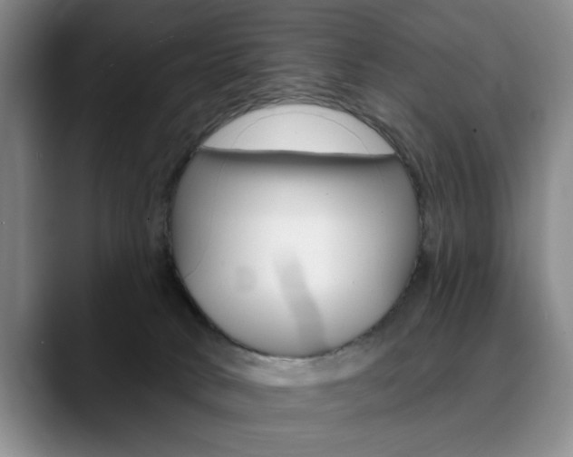 X0000090730034200707201003