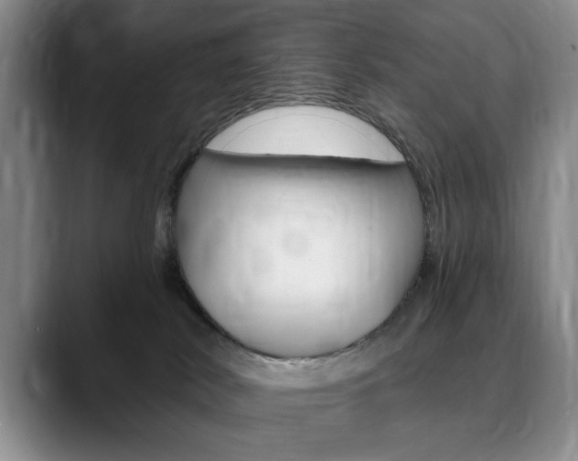 X0000090730038200707201003
