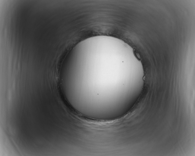 X0000090730040200707201003