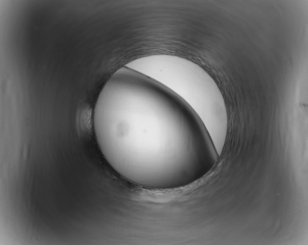 X0000090730041200707201003