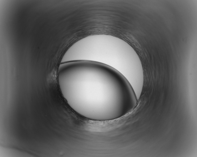 X0000090730045200707201003
