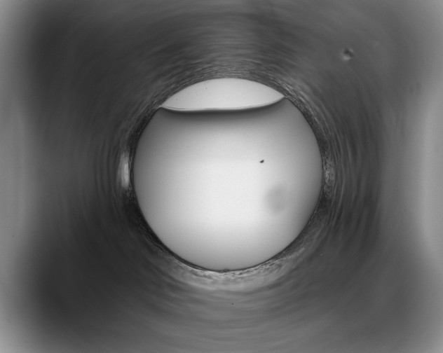 X0000090730046200707201003