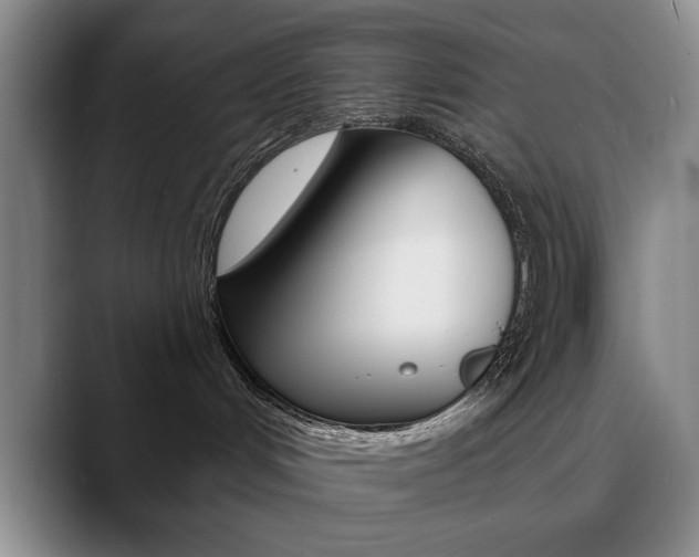 X0000090730048200707201003