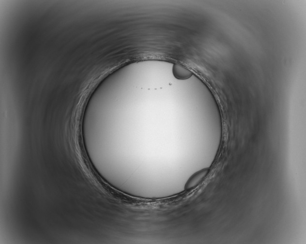 X0000090730049200707201002