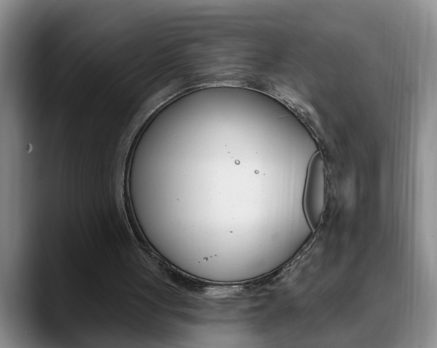 X0000090730051200707201002