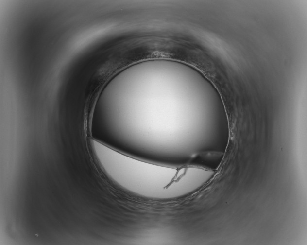 X0000090730052200707201002