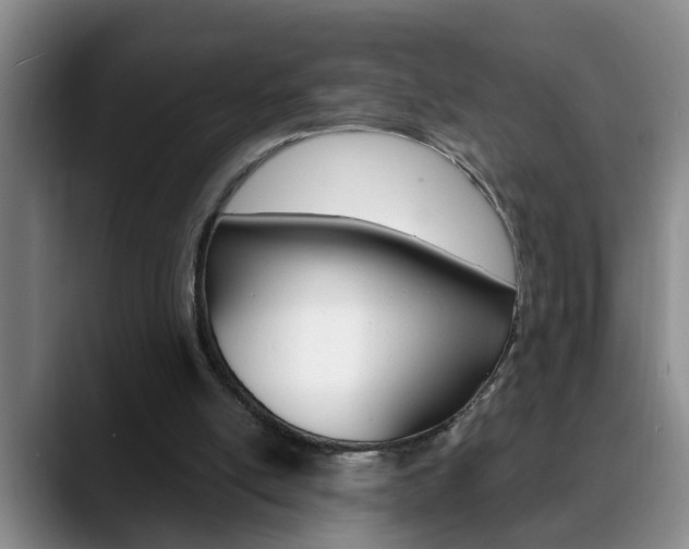 X0000090730054200707201002