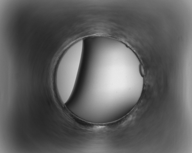 X0000090730055200707201002