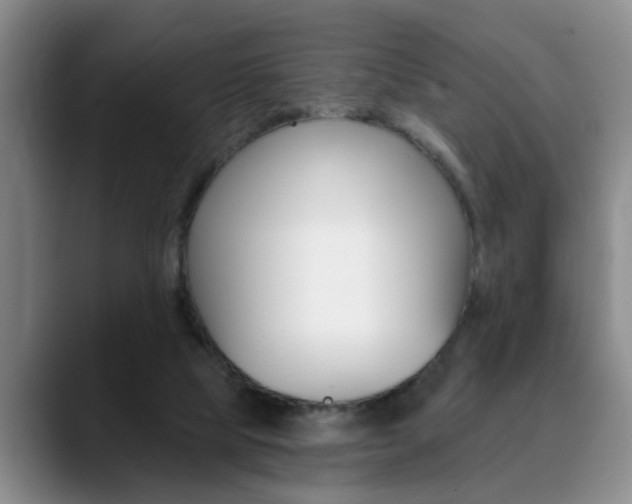 X0000090730065200707201003