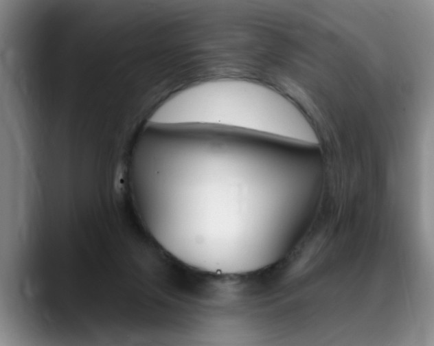 X0000090730071200707201003