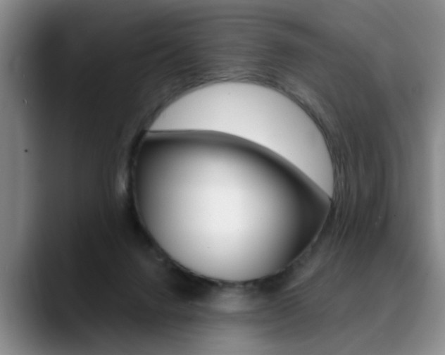X0000090730072200707201003