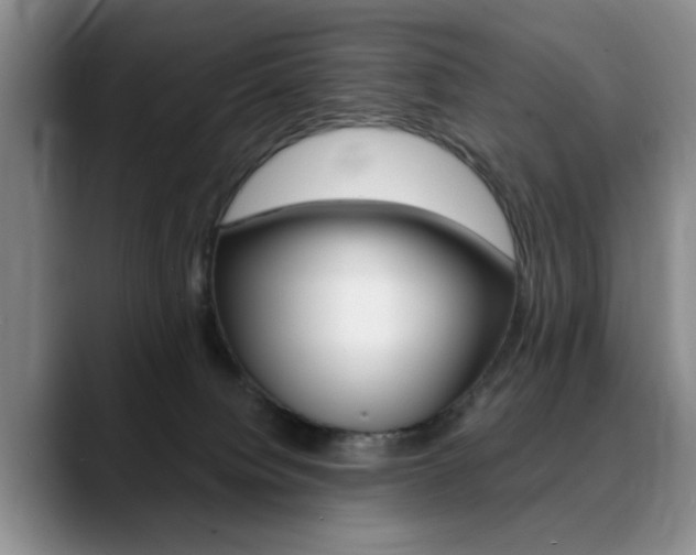 X0000090730084200707201003