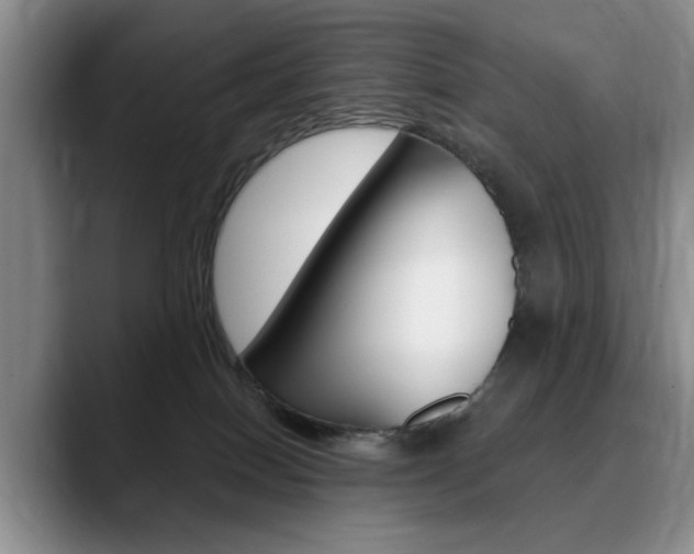 X0000090730086200707201003