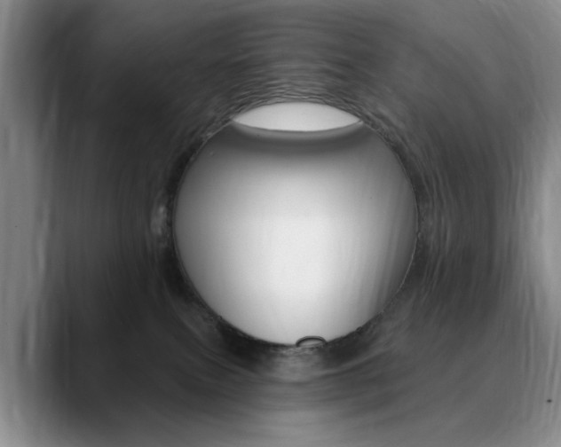 X0000090730087200707201003