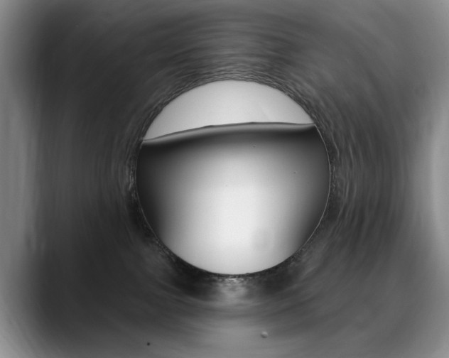 X0000090730091200707201003