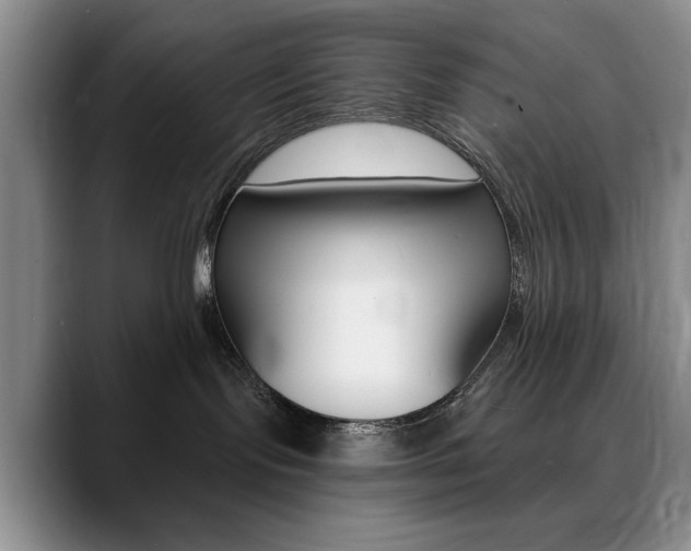 X0000090730095200707201003