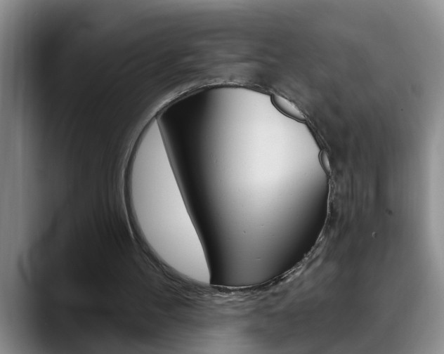 X0000090730100200707201002
