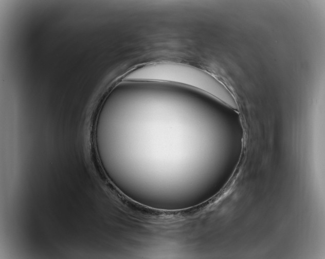 X0000090730101200707201002