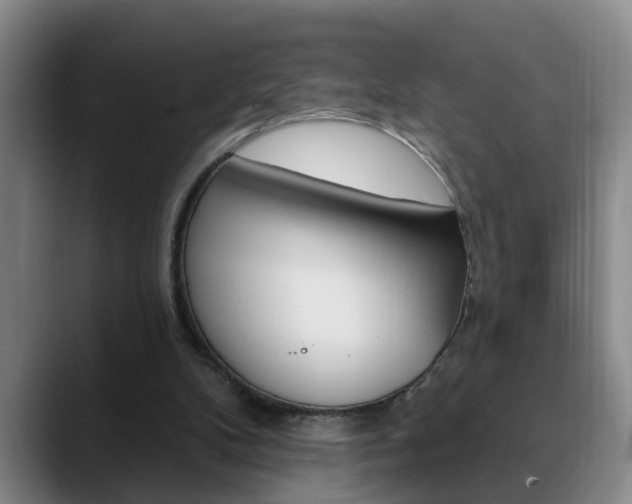 X0000090730104200707201002