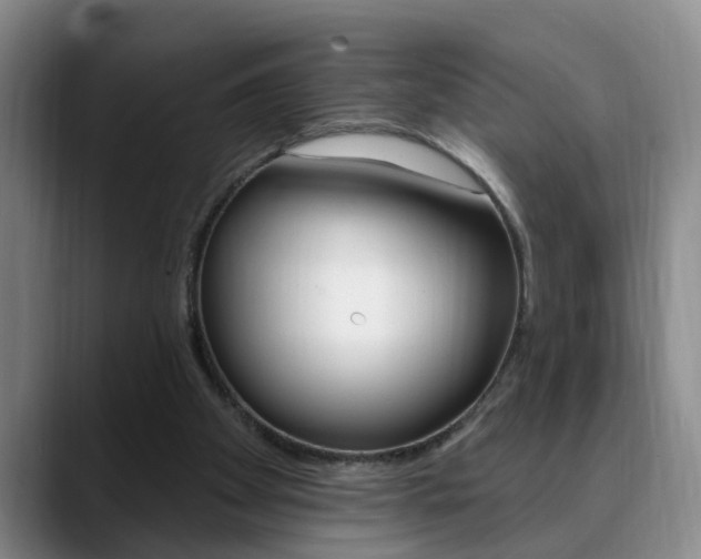 X0000090730105200707201002