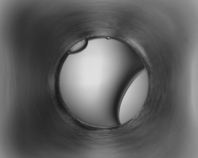 X0000090730108200707201002