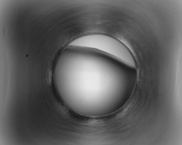 X0000090730109200707201002