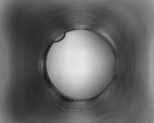 X0000090730110200707201002