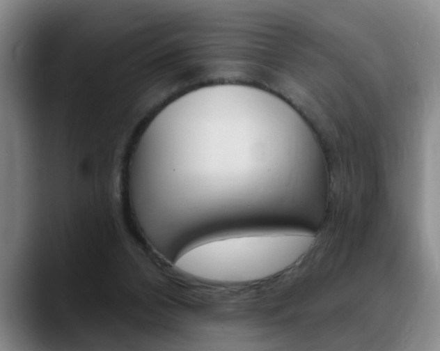 X0000090730112200707201002