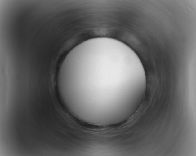 X0000090730116200707201002