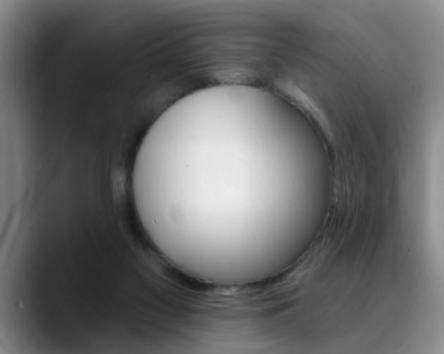 X0000090730117200707201002