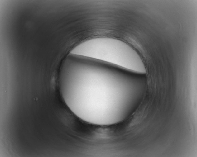 X0000090730119200707201002