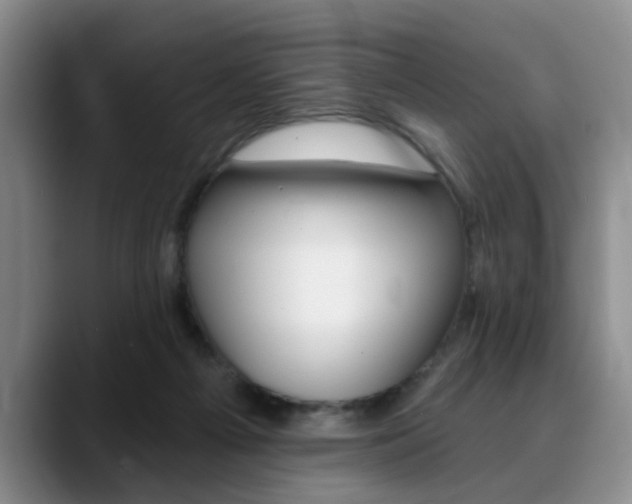 X0000090730121200707201002