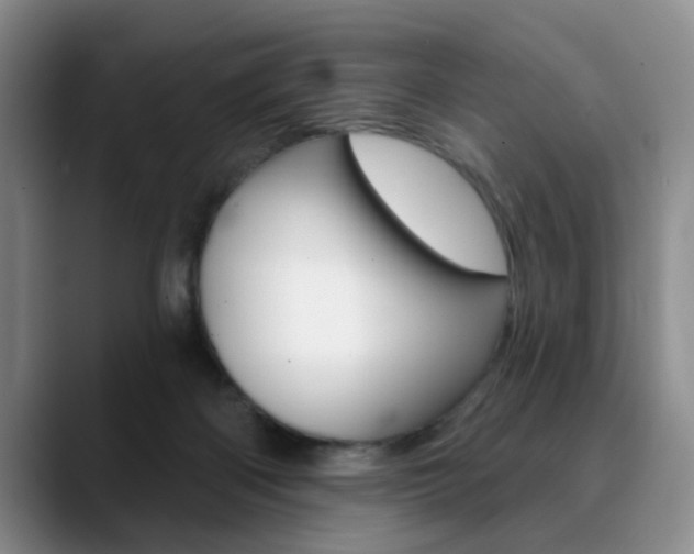 X0000090730122200707201002