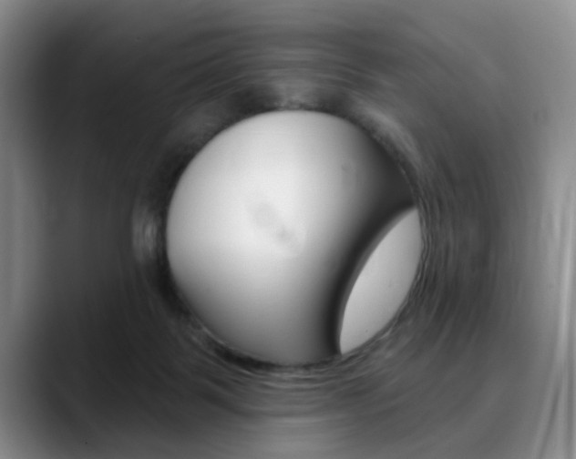 X0000090730123200707201002