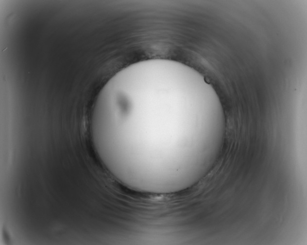 X0000090730130200707201002