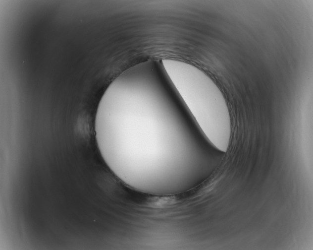 X0000090730135200707201002